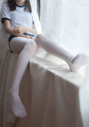 新红楼梦