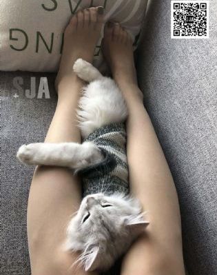 大雪无痕