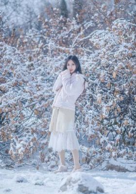 长相思第二季电视剧免费播放